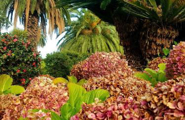 Finca La Principal - Foto 88