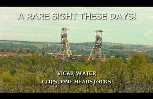 Luxury modern home log fire & outdoor living - Foto 33