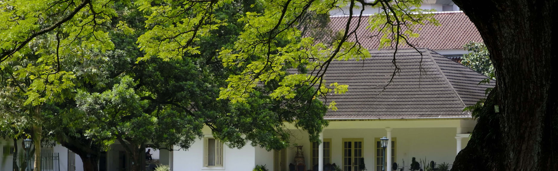 Excursion privée à Bogor et Cisarua