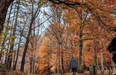 St Johns Ridge - Foto 35