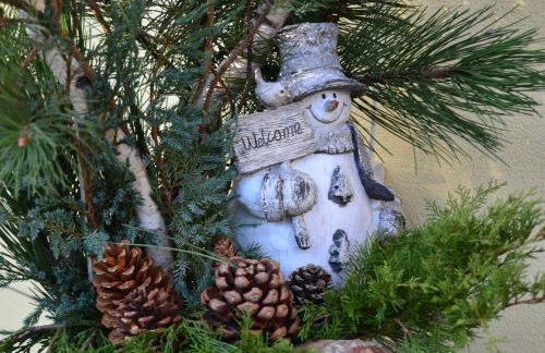 Ferienwohnung Sonnenblick - Foto 34