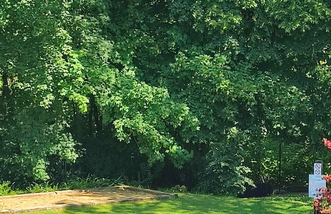 Cozy Holiday Home in Theux - Photo 40