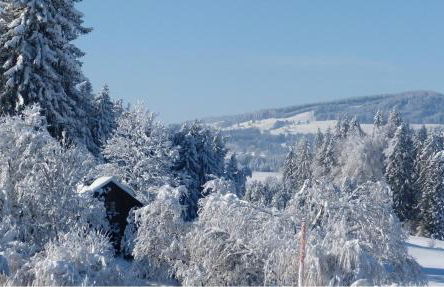 Ferienhof Hiemer - Foto 37