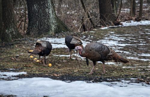 RiverEdge Haven Hot Tub, 5 Beds, Kayaks Near ND - Foto 69