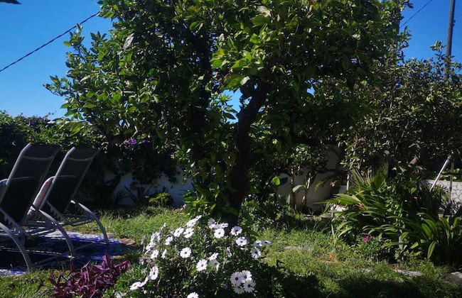 VILLA SILA - Foto 26