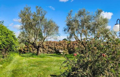 Beautiful Home In Piansano Vt - Foto 11