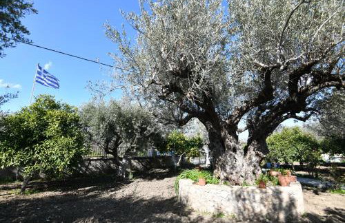 Villa Kavalino - Foto 29