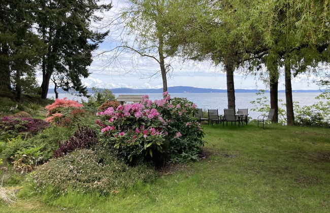 Sea La Vie Rare Peaceful Hidden Gem - Photo 32