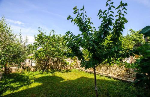 Great view apartment - Photo 7