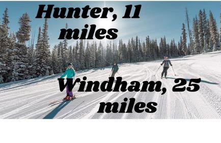 Plant House - Foto 28