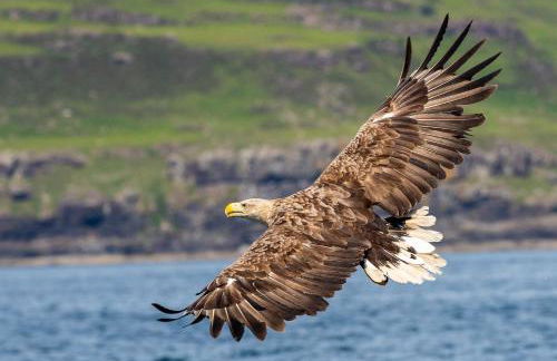 Torloisk House - Foto 45