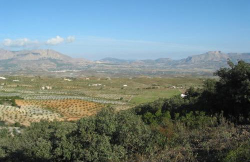 Cortijo La Estrella - Photo 43