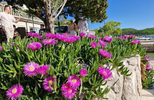 Apartman Valja - 55m2 - Sea View - Garden - Grill - Photo 43