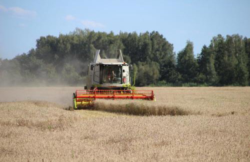 Die Spreewaldbetten - Bauernhof - Foto 13