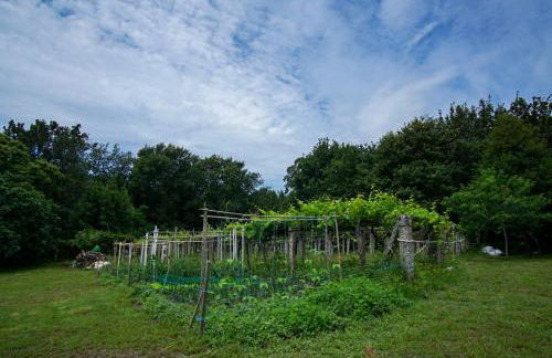 AlmadeMencía - Foto 24