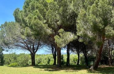 Rundinelle di Saint-Florent - Foto 15