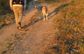 La Casa del susino - Foto 15