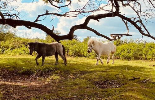 Location maison Mirambeau - 17150 - Foto 21