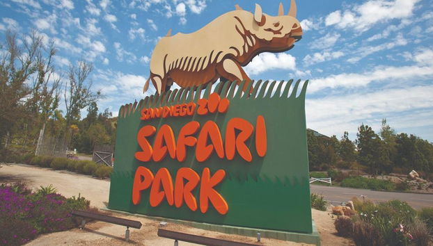 Go City - San Diego Explorer Pass - Accès à jusqu'à 7 Attractions - Photo 2