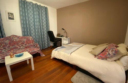 Studio miroir-arrivée autonome-animal ok - Photo 35