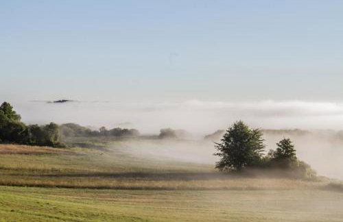 Biebrzaski - dom nad Biebrzą - Foto 44