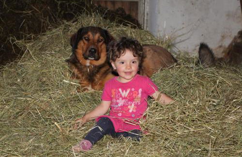 Spisserhof - Photo 35