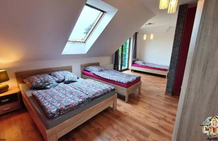 Agrosielanka - Foto 52