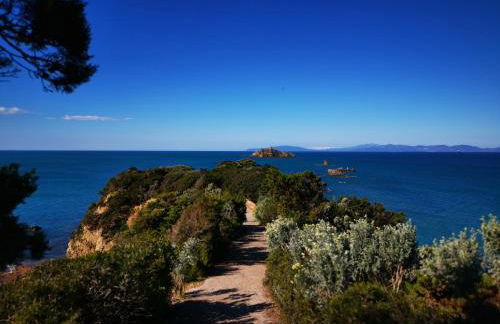 Punta Ala Bilocale Vista Mare 6 Posti Letto! Punta Ala Monolocale Vista Mare 4 Posti Letto! - Foto 1