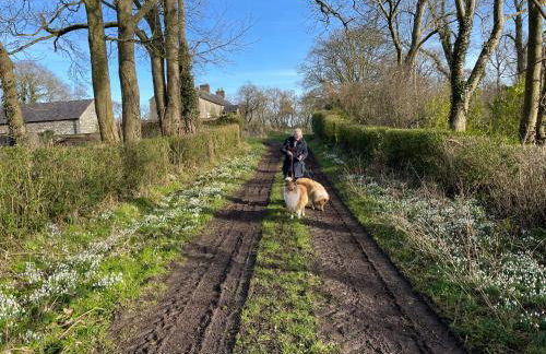 The Byre (Unusual and Different). - Foto 21