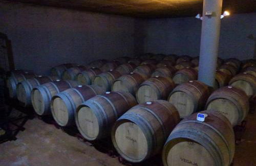 CASERIO INAZARES - CASAS DE MONTAÑA CON CHIMENEA Y NIEVe - Foto 66