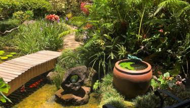 The Secret Garden Room - Foto 1, Garden view