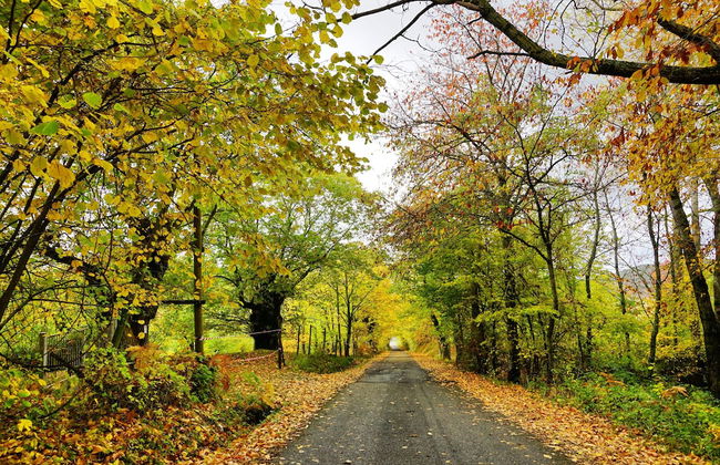 Agriturismo Bio I Rondinelli - Foto 56