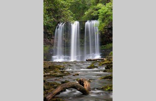 Bee Hive Merthyr Tydfil - Photo 17