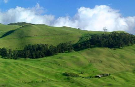 Island Sands 210 · IS 210 OceanFront Condo Expansive Ocean Views - Foto 90