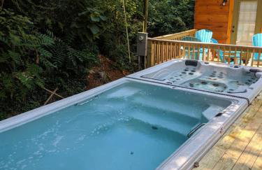 River Cabin Hot Tub & Swim Spa Near Downtown - Foto 38