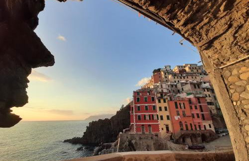 Pepita di Rio - Foto 26