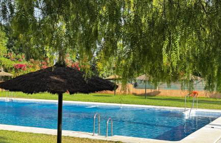 Vonitas vistas a Sevilla - Photo 34