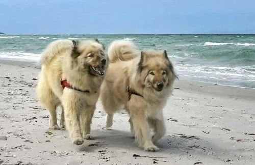 Meerblick Haushälfte - Foto 19