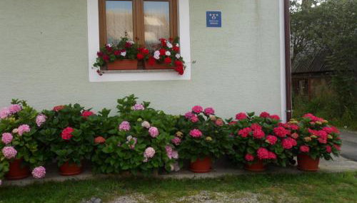 Vacation home Kuća za Odmor - Foto 5, Other