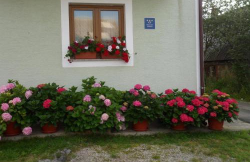Vacation home Kuća za Odmor - Foto 5
