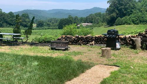 Cabin on Gold Mine Hill - Foto 5