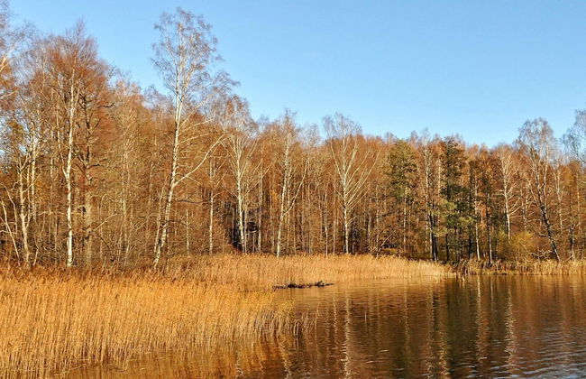 4 Person Holiday Home in Ulfborg-by Traum - Photo 4