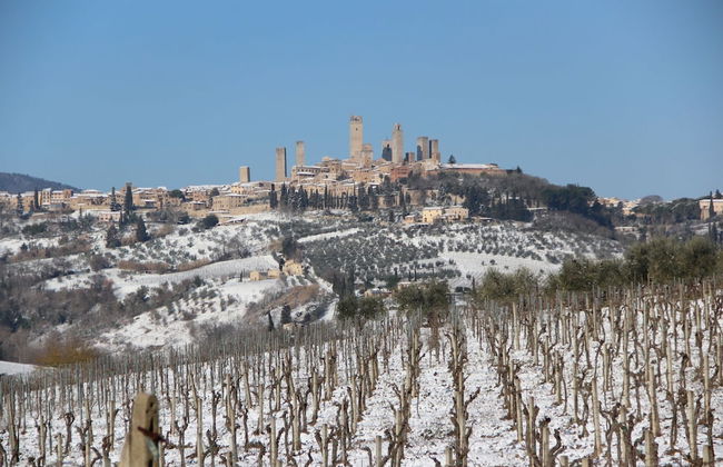 Agriturismo Torre Prima Holidays - Photo 51