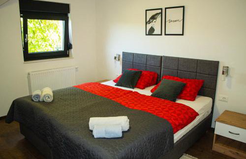 Kraljeva hiža - Apartmani i sobe Kralj - Foto 28