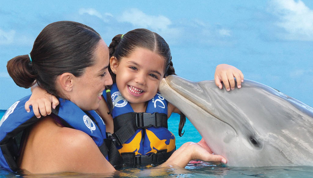 Nado con delfines en el Parque Aquaventuras - Foto 1