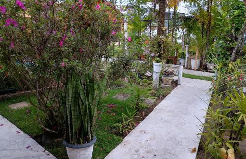 Sossego da Mamãe - Foto 39