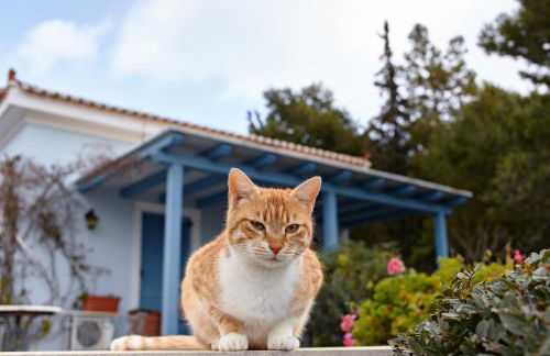 Villa Irini - Foto 23