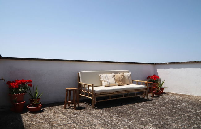 Azienda Agricola Francesca Stajano - Foto 43