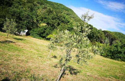 La Casetta di Ross - Foto 13