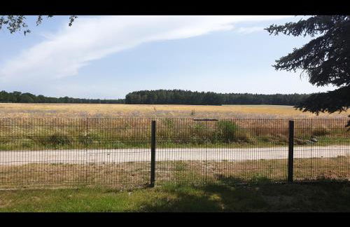 NEU! Ferienhaus Kurio - Foto 17